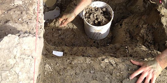 Basic methodological research on waterlogged sediments