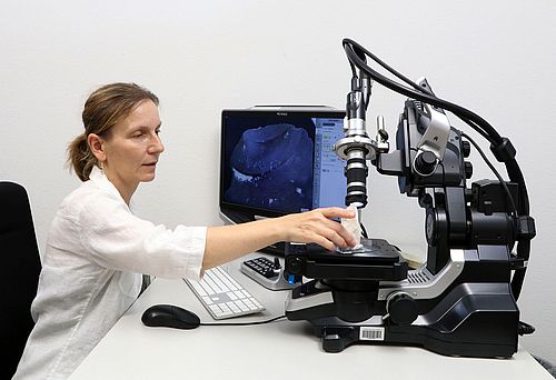 Traceology &amp; Experimental Archaeology