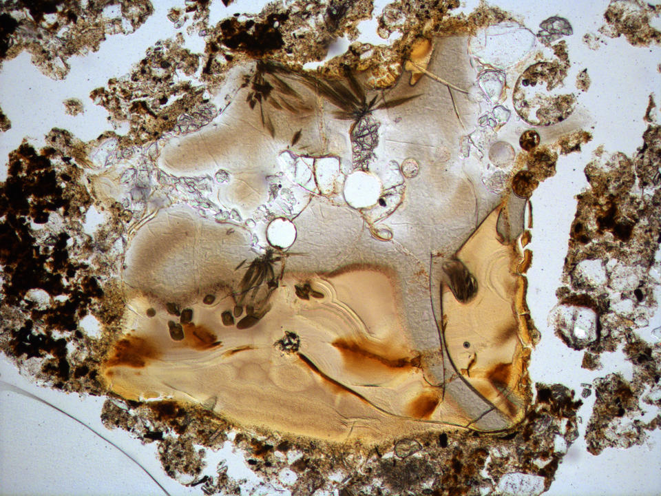Site Formation