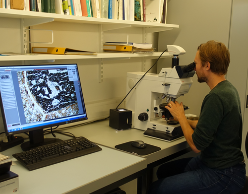 Micromorphological analyses