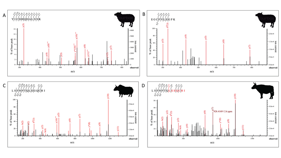 Ancient Proteins