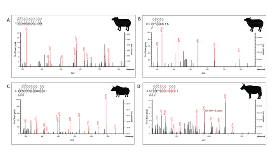 Data analysis