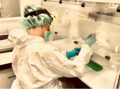 Lab