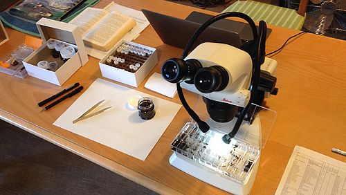 Destination_Archaeobot