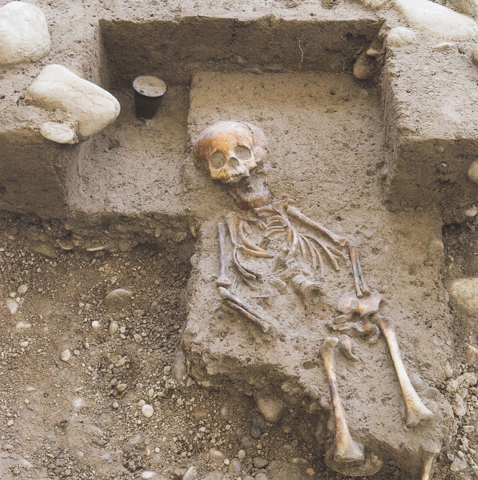 Zirkelvortrag 27. Januar 2026