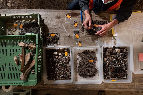 Archaeozoology in the field