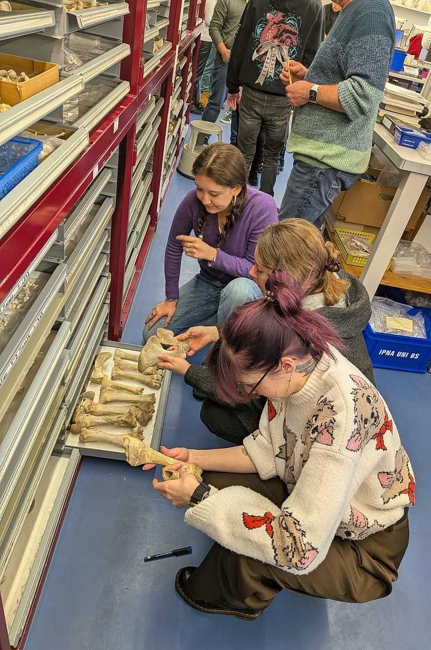 2026 02 AZ_Bestimmungsübung