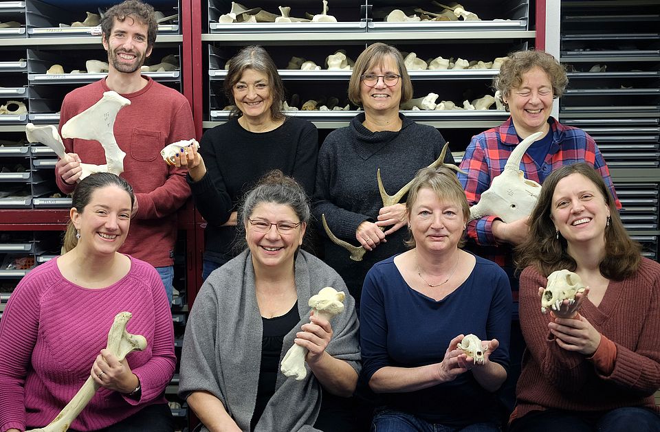 Team Archäozoologie