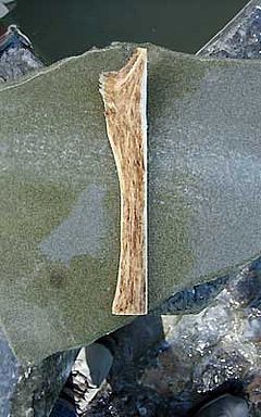 ""