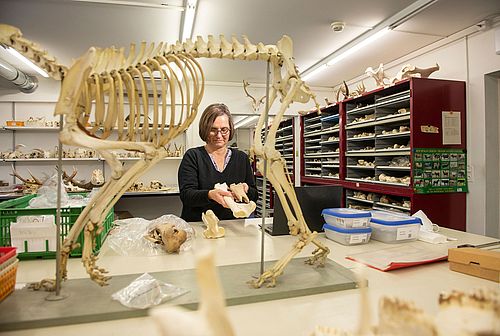 Work in the reference collection