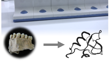 SP3 Sample Preparation Protocol