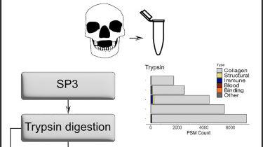 New Sequential Digestion Enzyme Protocol