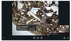 Thin section of a bone fragment on I-GEOARCHive