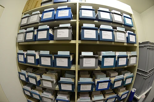 Archaeobotanische_Datenbanken_Samen_und_Fruechte