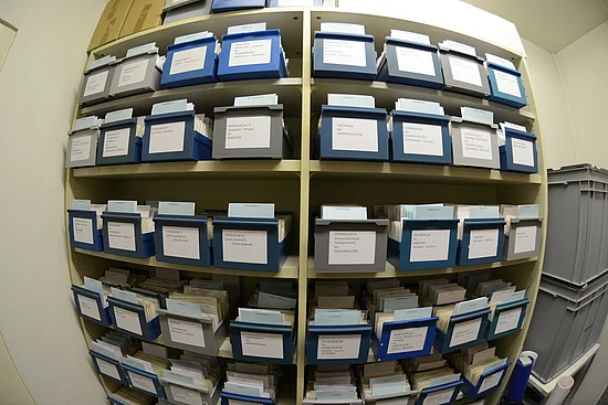 Archaeobotanische_Datenbanken_Samen_und_Fruechte
